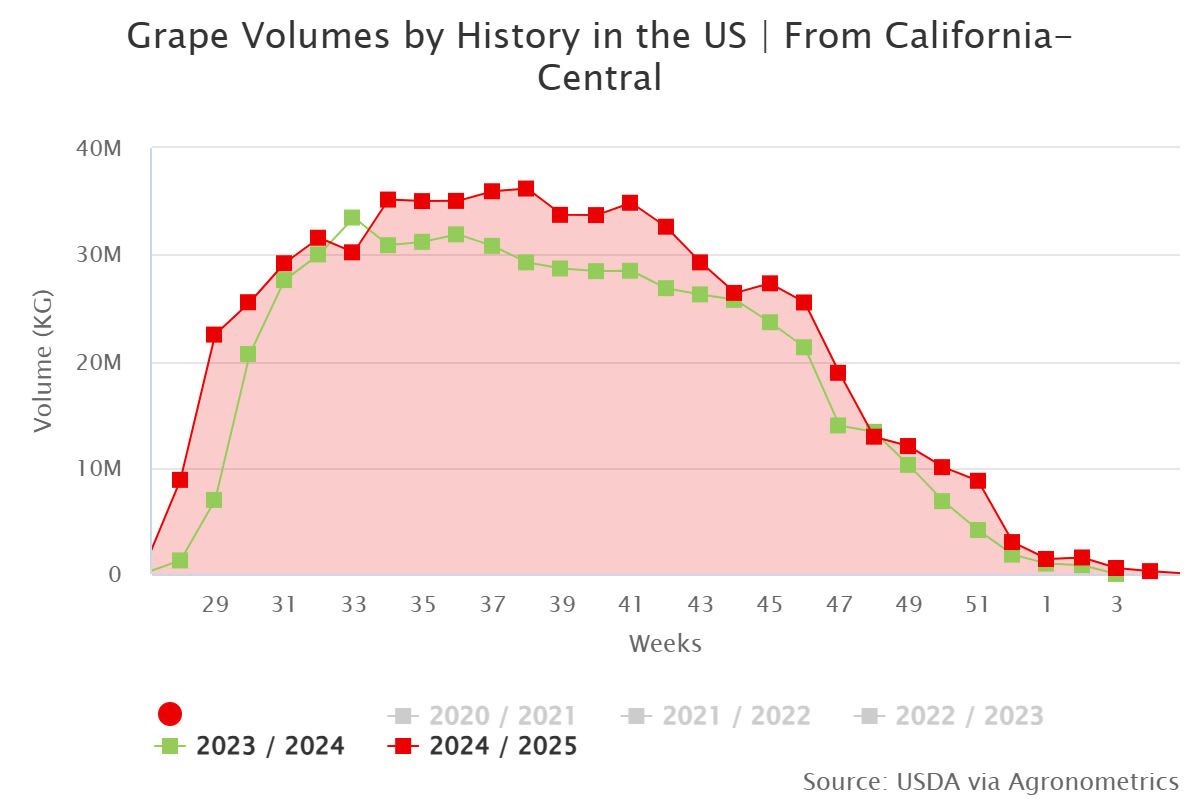 grape volumes by history 2